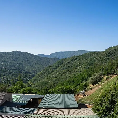01234 - Agriturismo La Marpea, Esperienza In Mezzo Alla Natura E Al Cibo Tipico Italiano בית חווה Terisso
