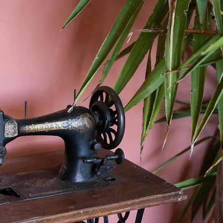 01234 - Agriturismo La Marpea, Esperienza In Mezzo Alla Natura E Al Cibo Tipico Italiano Lantgård Terisso