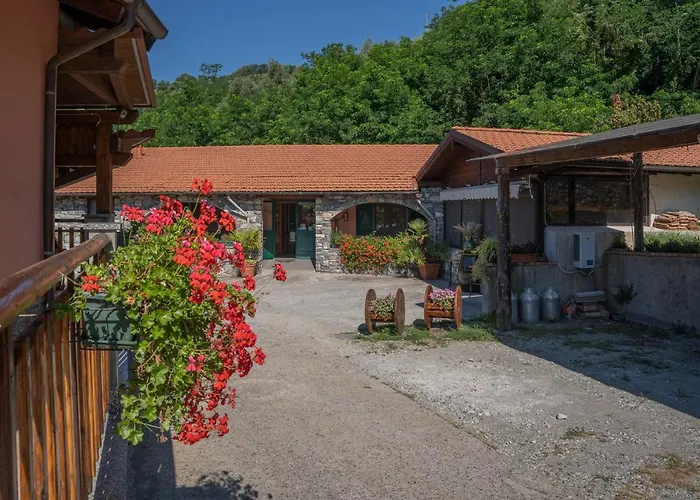 01234 - Agriturismo La Marpea, Esperienza In Mezzo Alla Natura E Al Cibo Tipico Italiano Terisso
