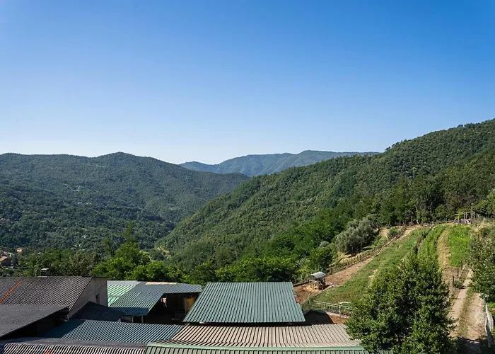 01234 - Agriturismo La Marpea, Esperienza In Mezzo Alla Natura E Al Cibo Tipico Italiano Farm stay Terisso